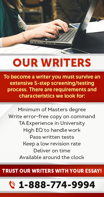 professional essay writers