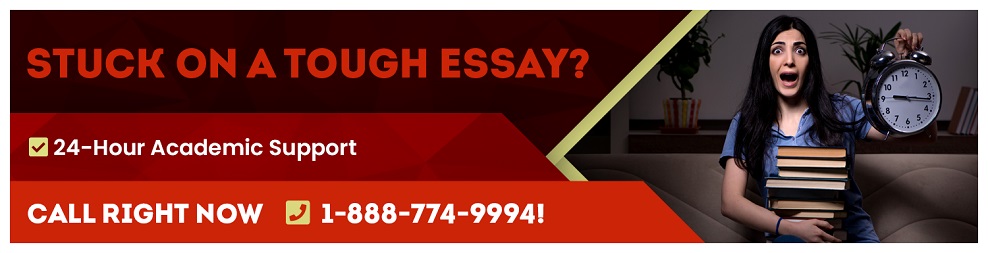 emergency custom essay writing help